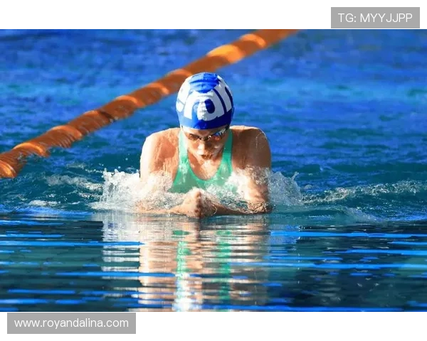 新2体育：引领体育行业改革的新兴力量与技术创新之路