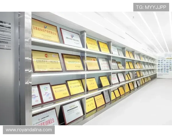 多宝视讯公司成立时间及其发展历程，了解企业的历史背景
